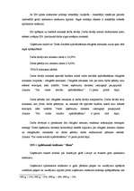 Prakses atskaite 'Uzņēmuma darbība', 13.