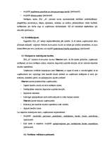 Prakses atskaite 'Uzņēmuma darbība', 19.