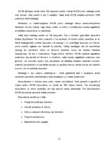 Referāts 'Kompānijas "Avon" preču katalogs kā integrētās mārketinga komunikācijas sastāvda', 13.