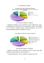 Referāts 'Kompānijas "Avon" preču katalogs kā integrētās mārketinga komunikācijas sastāvda', 17.
