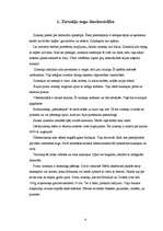 Referāts 'Zirnekļu sugu daudzveidība', 4.