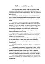 Referāts 'Zirnekļu sugu daudzveidība', 15.