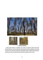 Referāts 'Meža nozare', 15.