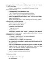 Diplomdarbs 'Vadītāja lomas un ietekmes uz psiholoģisko klimatu pētīšana un pilnveidošana org', 33.