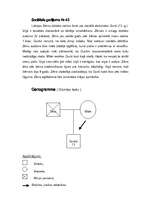 Konspekts 'Aptauja par smēķēšanu. Sociālā gadījuma analīze (genogramma, problēmas)', 3.
