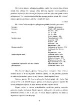 Referāts 'Tūrisma aģentūras "Antario" mārketinga darbības problēmas un uzlabošanas plāns', 18.