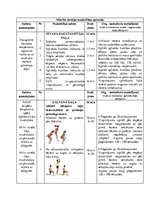 Konspekts 'Ātrspēka attīstīšana kāju muskulatūrai ar ķermeņa personīgo svaru', 2.