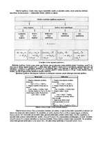 Konspekts 'Oksīdi', 3.