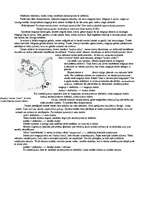 Konspekts 'Oksīdi', 8.