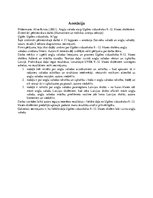 Referāts 'ZPD - Angļu valoda starp ... 9.-12. klases skolēniem', 2.