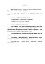 Referāts 'Dziesmu svētku organizēšanas un nozīmes analīze', 3.