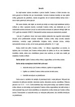 Referāts 'Dziesmu svētku organizēšanas un nozīmes analīze', 4.