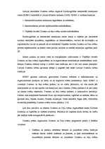 Referāts 'Dziesmu svētku organizēšanas un nozīmes analīze', 9.