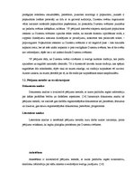 Referāts 'Dziesmu svētku organizēšanas un nozīmes analīze', 13.