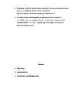 Referāts 'Dziesmu svētku organizēšanas un nozīmes analīze', 22.