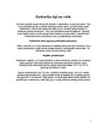 Konspekts 'Reģipša darbarīki', 5.