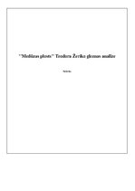 Referāts 'Teodora Žeriko gleznas "Medūzas plosts"  analīze', 1.