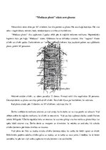 Referāts 'Teodora Žeriko gleznas "Medūzas plosts"  analīze', 4.