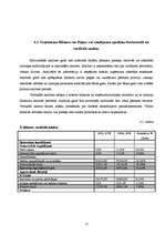 Prakses atskaite 'Prakse finanšu analīzē', 17.