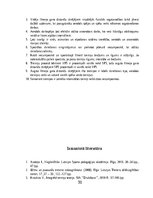 Referāts 'Fiziskā sagatavotība garo distanču skrējējiem', 31.