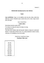 Referāts 'Skaņu izrunas traucējumi un to korekcija pirmsskolas vecumā', 44.