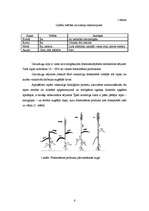 Referāts 'Graudaugu raksturojums', 6.