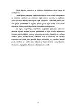 Referāts 'Graudaugu raksturojums', 15.