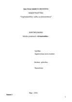 Konspekts 'Бухгалтерский учёт ', 2.