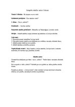 Konspekts 'Integrēts mācību saturs 3.klasei', 1.