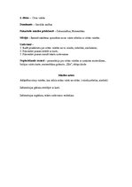 Konspekts 'Integrēts mācību saturs 3.klasei', 2.