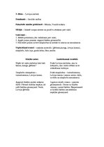 Konspekts 'Integrēts mācību saturs 3.klasei', 3.