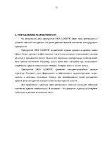 Prakses atskaite 'Анализ деятельности логистического предприятия "Dios Logistic"', 13.