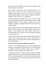 Eseja 'Mīlēt grāmatu – tas ir meklēt sabiedrotos', 2.