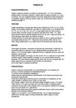 Konspekts 'Niķelis', 1.