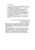 Referāts 'Krāsu teorija veselībā, psiholoģijā, apģērbā un reliģijā', 2.