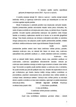 Referāts 'Bāzeles Banku uzraudzības komiteja "Efektīvas banku uzraudzības pamatprincipi', 5.