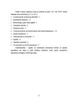 Referāts 'Jēkabpils pilsētas vispārīgs raksturojums', 9.