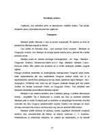 Referāts 'Jēkabpils pilsētas vispārīgs raksturojums', 14.