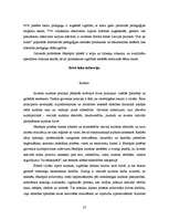 Referāts 'Jēkabpils pilsētas vispārīgs raksturojums', 22.