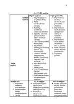 Referāts 'SIA "LMT" mārketinga stratēģijas izvēle un īstenošana', 13.