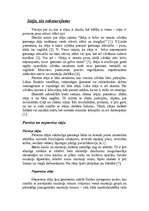 Referāts 'Stāja, tās raksturojums', 1.