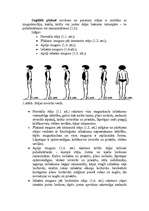 Referāts 'Stāja, tās raksturojums', 4.