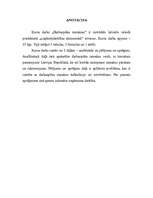 Referāts 'Darbaspēka izmaksas', 2.