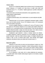 Referāts 'Gaismas avotu salīdzinājums', 9.