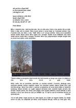 Referāts 'Bērzs - vērtīgs lapu koks', 2.