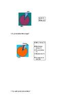 Referāts 'Bērzs - vērtīgs lapu koks', 11.