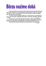 Referāts 'Bērzs - vērtīgs lapu koks', 19.