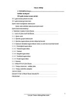 Referāts 'Trenera prakses projekts', 2.