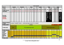 Referāts 'Trenera prakses projekts', 19.