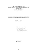 Referāts 'Smiltenes Sarkanā Krusta slimnīca', 1.
